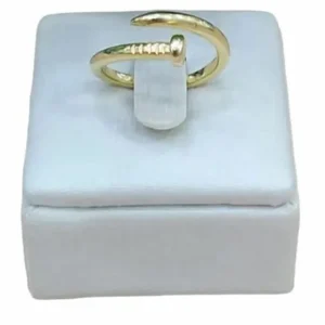 Anel Ajustavel Prego Banhado a Ouro 18k