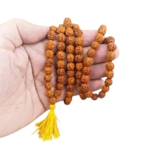 Rudraksha 108 contas